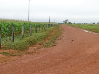 estrada jaragua