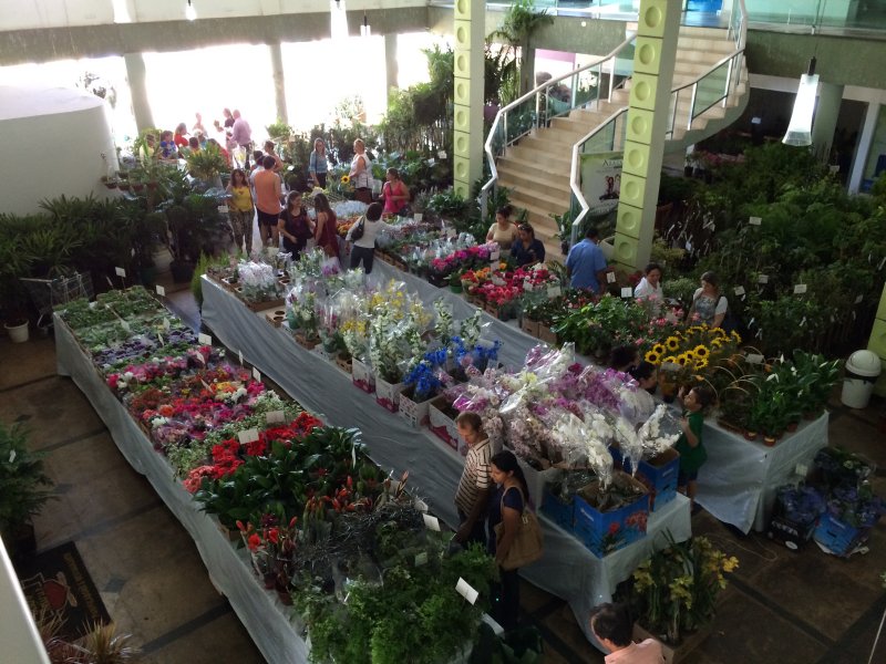 flores02