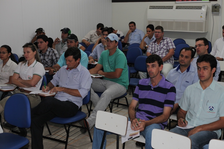 fundacao mt