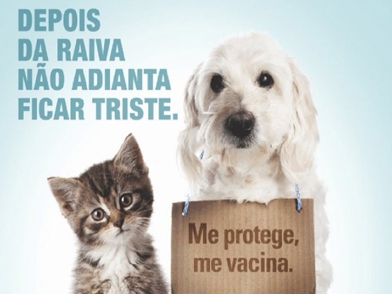 antirrabicacomplementar