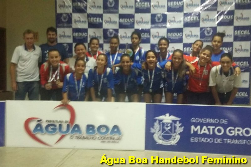 JOGOShandfem p