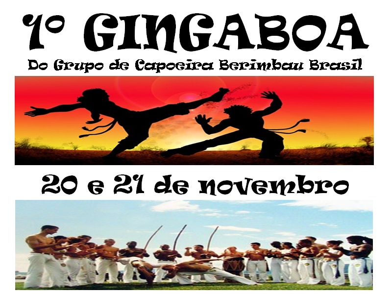 gingaboa01