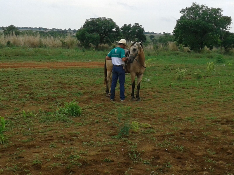 redeas02m