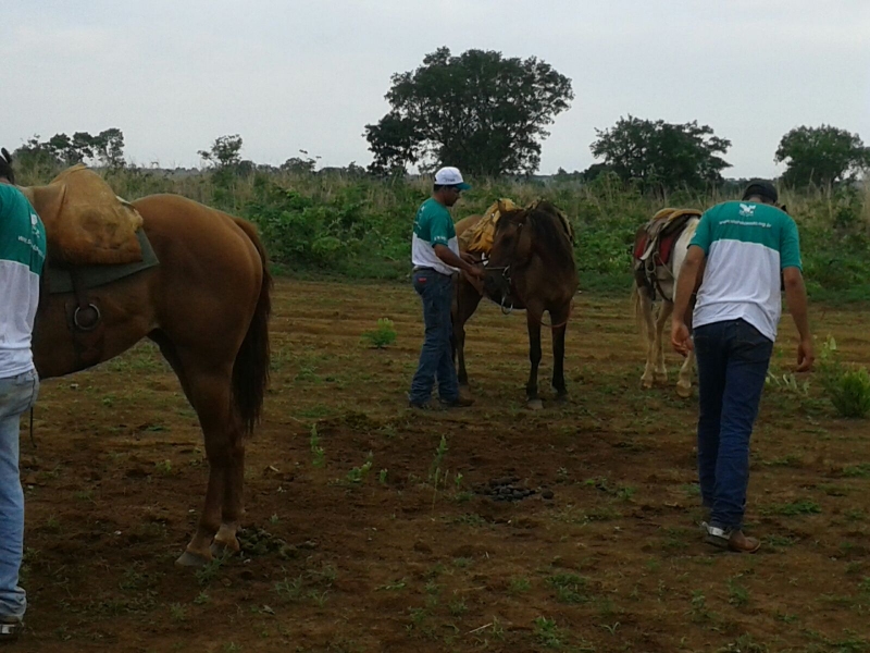 redeas03m