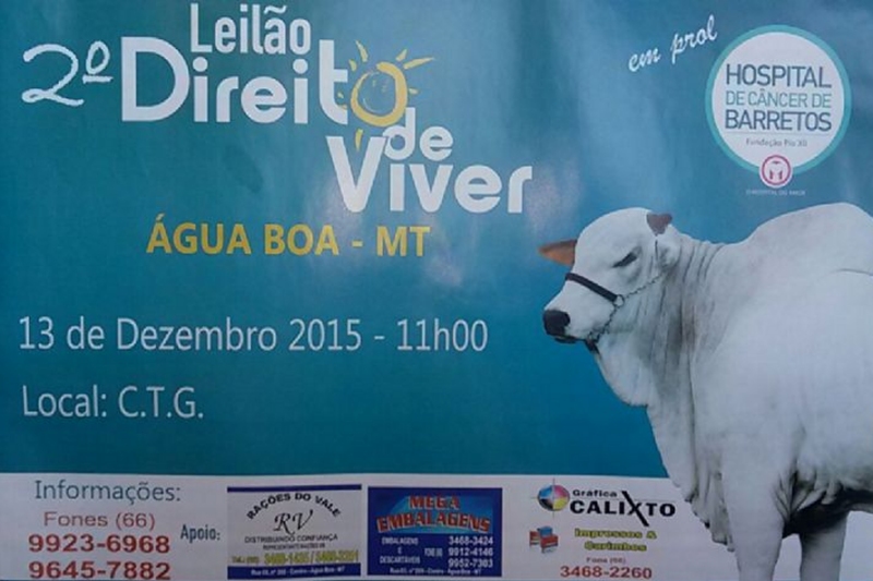 leilao2