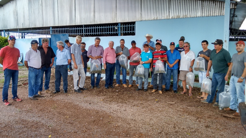 entregaalevinos01