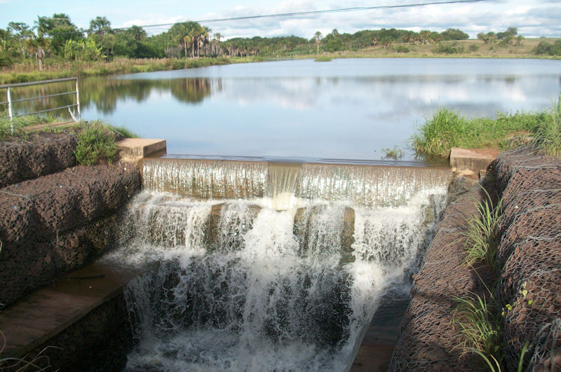diadaagua02m