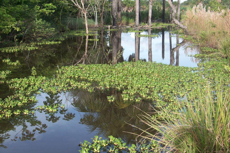 diadaagua03m