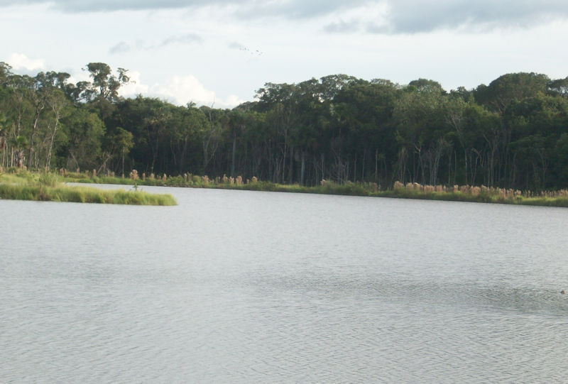 diadaagua04m