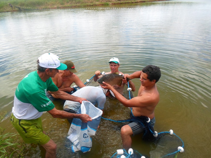PEIXE