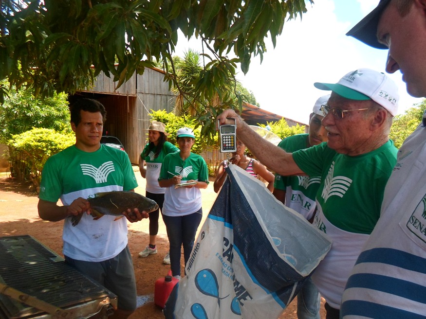 PEIXE 2