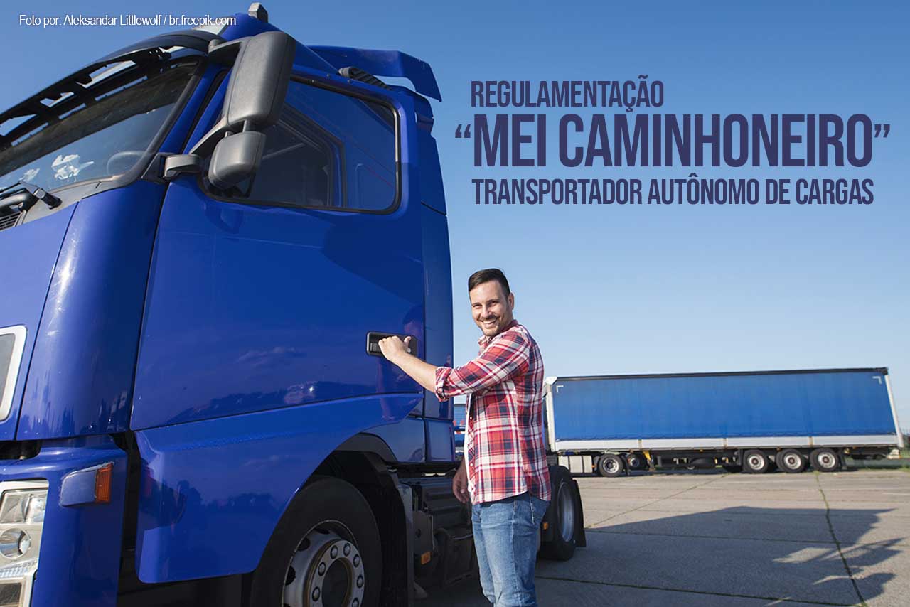 BANNER MEI CAMINHONEITO