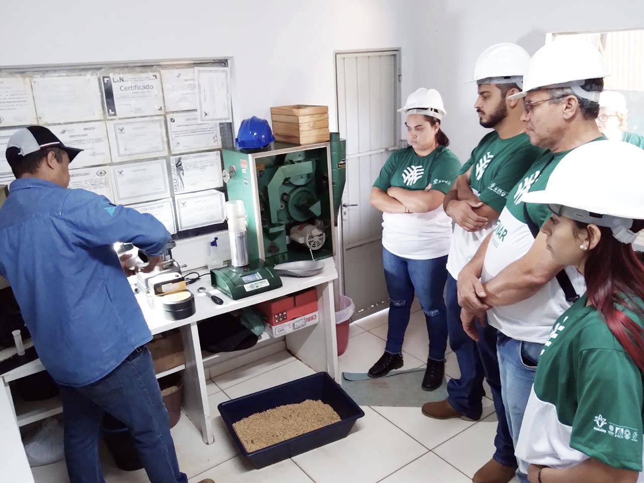curso
