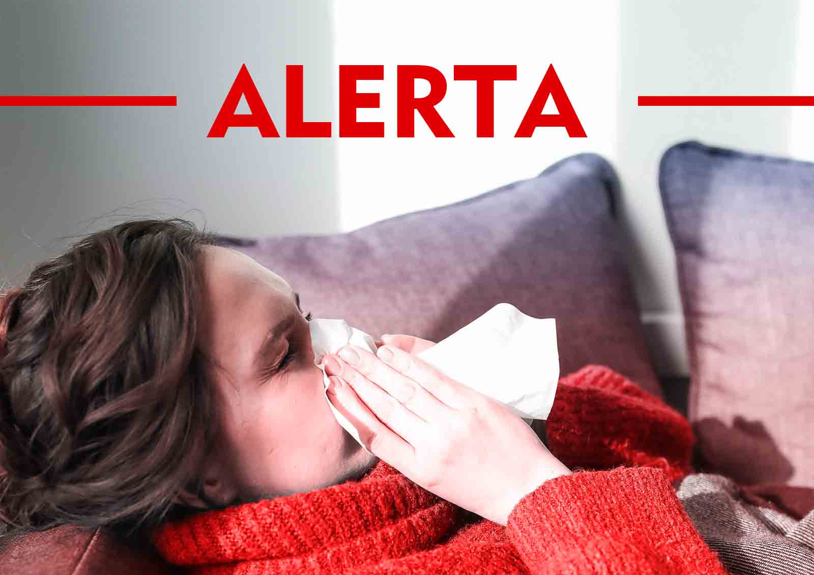 Foto: Polina Tankilevitch | Pexels influenza A