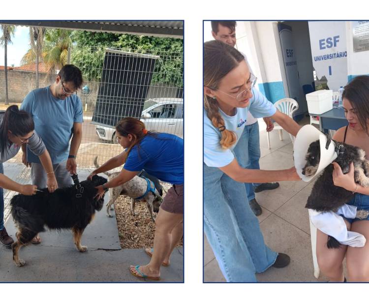 Dia D da campanha de vacinação contra a raiva animal é um sucesso em Água Boa