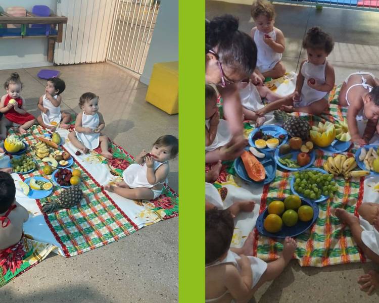 Projeto “Primeiros Sabores do Bebê” estimula alimentação saudável na escola Jacy Kuhn Salamoni