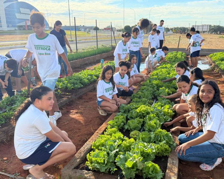 Horta Escolar fortalece educação ambiental e alimentação saudável nas escolas municipais de Água Boa