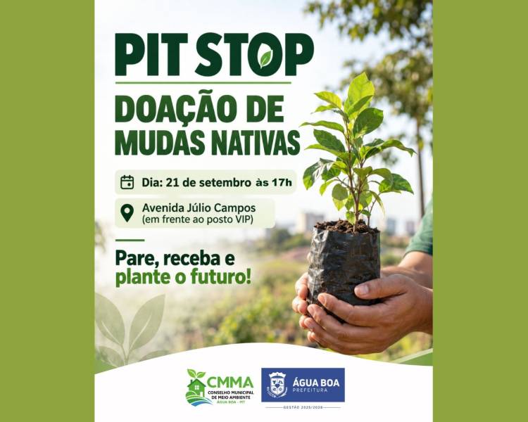 Prefeitura vai realizar distribuição de mudas nativas na próxima segunda